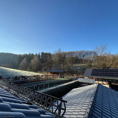 Entspannung Im Wald - Mit Schwimmbad Appartement *