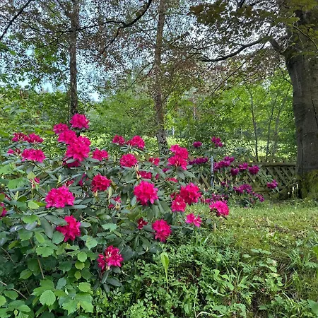 Appartement Entspannung Im Wald - Mit Schwimmbad