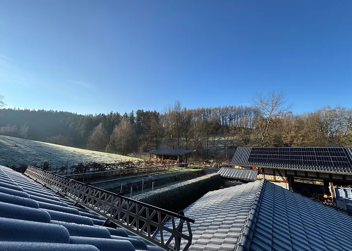Entspannung Im Wald - Mit Schwimmbad 아파트 *