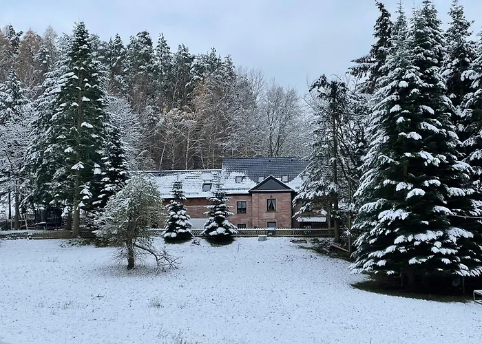 Entspannung Im Wald - Mit Schwimmbad *
