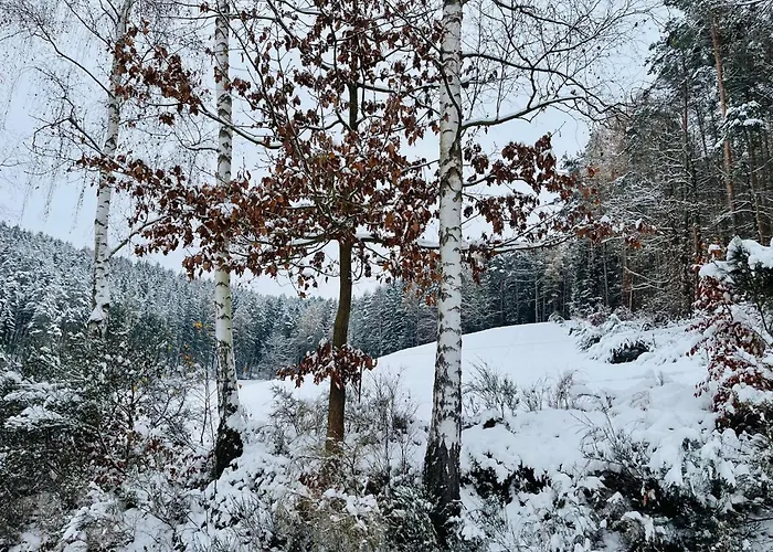 Entspannung Im Wald - Mit Schwimmbad 아파트 *