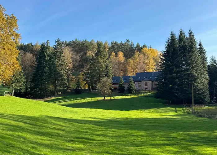 Entspannung Im Wald - Mit Schwimmbad