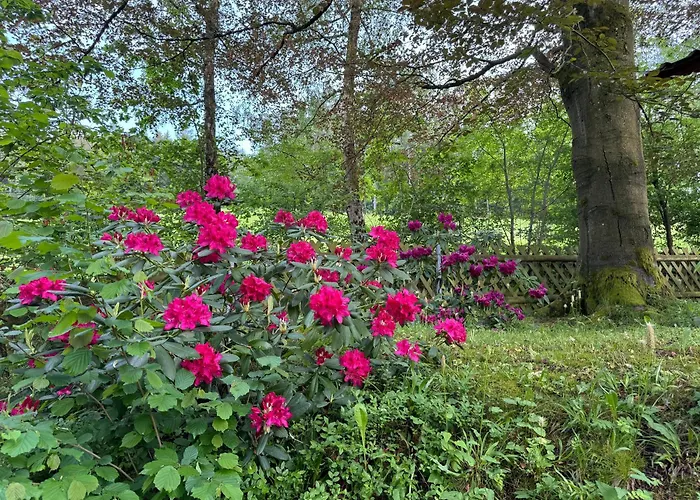 아파트 Entspannung Im Wald - Mit Schwimmbad